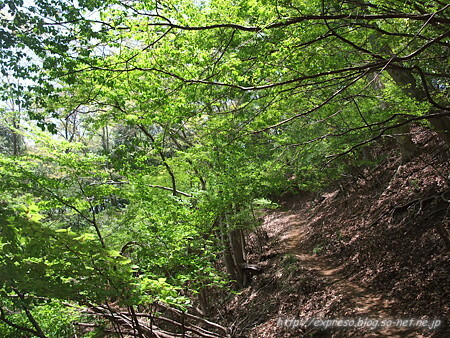 DSCF7119.jpg