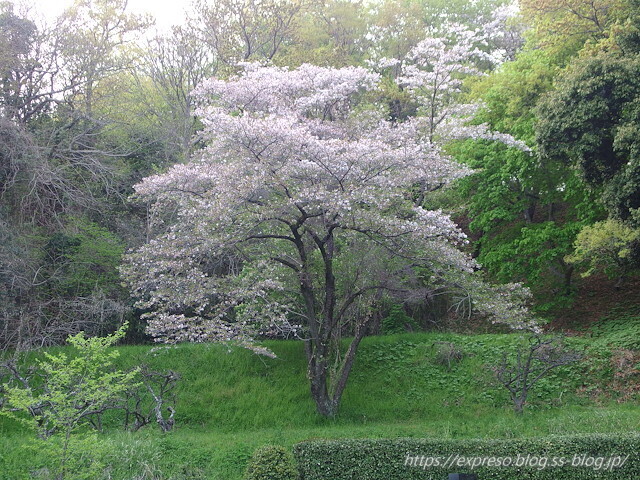 IMGP0332.jpg