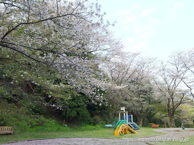 IMGP0334.jpg