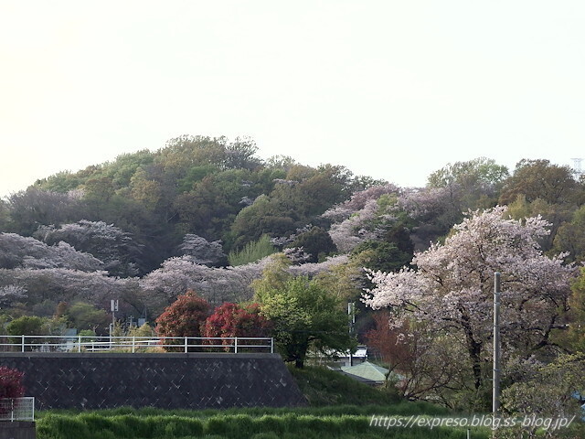IMGP0336.jpg