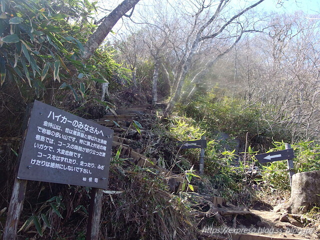 IMGP0382.jpg