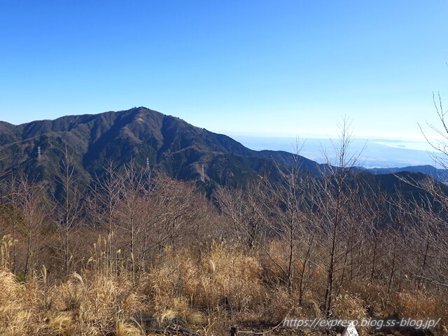 IMG_4696.jpg