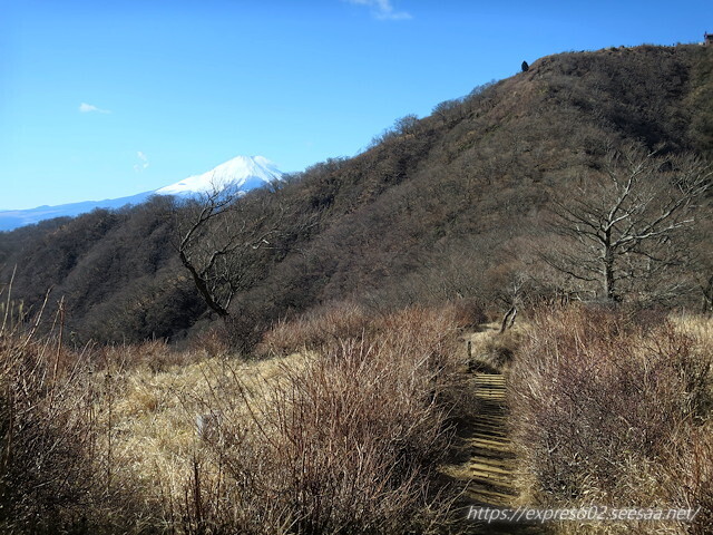 IMG_4731.jpg