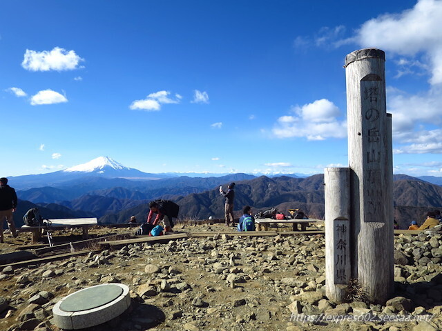 IMG_4745.jpg