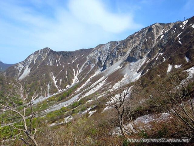 IMG_5485.jpg